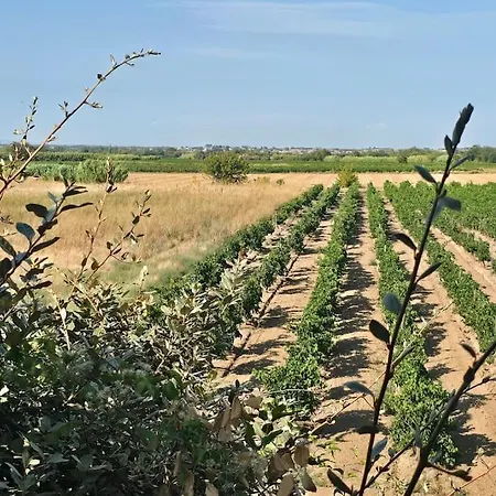 Domaine Des Lions - Gite En Duplex Confortable Pour 4P Vue Vignes Avec Terrasse Apartmán
