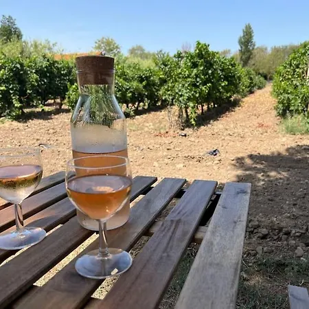 Apartamento Domaine des Lions - Maisonnette chaleureuse climatisé à Sérignan