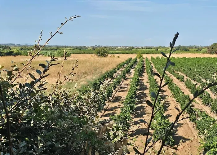 Domaine Des Lions - Chaleureux Climatise A Apartman