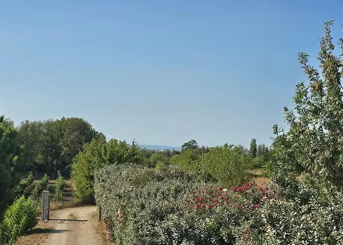 Domaine Des Lions - Chaleureux Climatise A * Sérignan