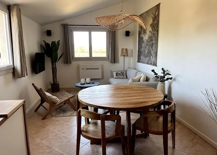 Domaine Des Lions - Chaleureux Climatise A