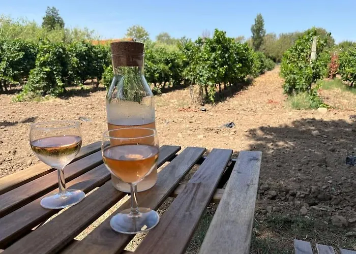 Apartman Domaine Des Lions - Chaleureux Climatise A